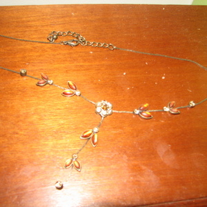 Gold and Bronze Y Necklace is being swapped online for free