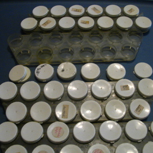 4 Bead Holder Trays w/cups is being swapped online for free