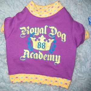 2 Small Dog Shirts - Cute is being swapped online for free