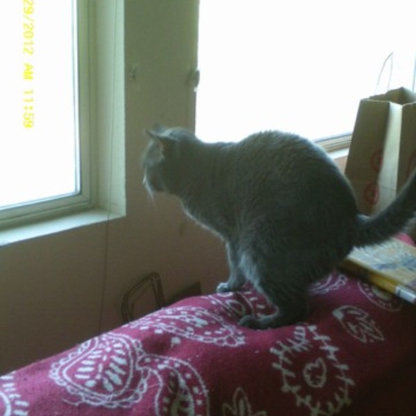 You Pick:-) is being swapped online for free