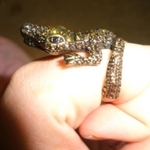 Alligator ring size 9 is being swapped online for free