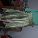 SMALL green silky skirt flare is being swapped online for free