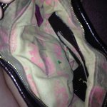 Juicy bag is being swapped online for free