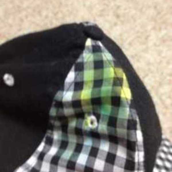 Detroit Tigers Flatbill is being swapped online for free