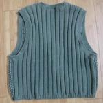 LizWear Knitted Sweater Vest is being swapped online for free