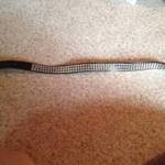 Black Studded Belt is being swapped online for free