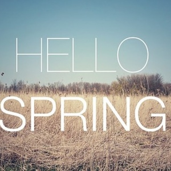 LETS TRADE! :) is being swapped online for free