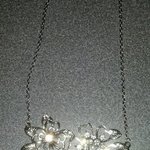 flower and jewels necklace is being swapped online for free
