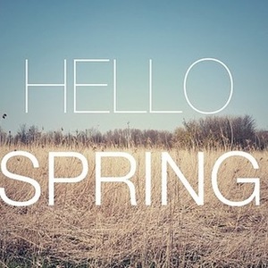 LETS TRADE :) is being swapped online for free