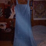 Blue Glitter Dress With Straps is being swapped online for free