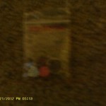 Little Baggie of Toe Rings is being swapped online for free