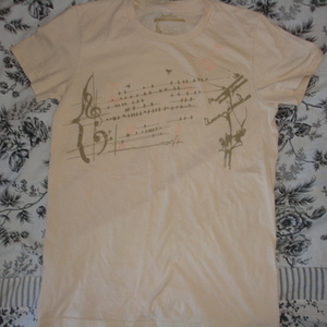 Threadles tee, Ballad of the Birds, size M is being swapped online for free
