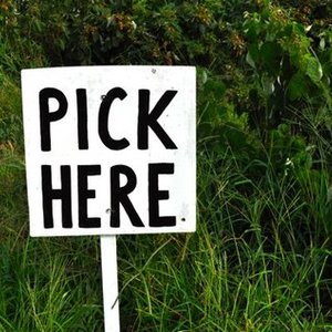 You choose something is being swapped online for free