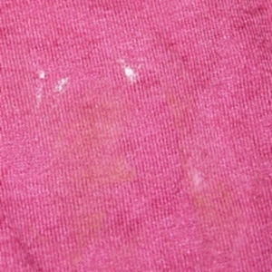 Bebe top S/M is being swapped online for free