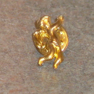 Pin Lot is being swapped online for free