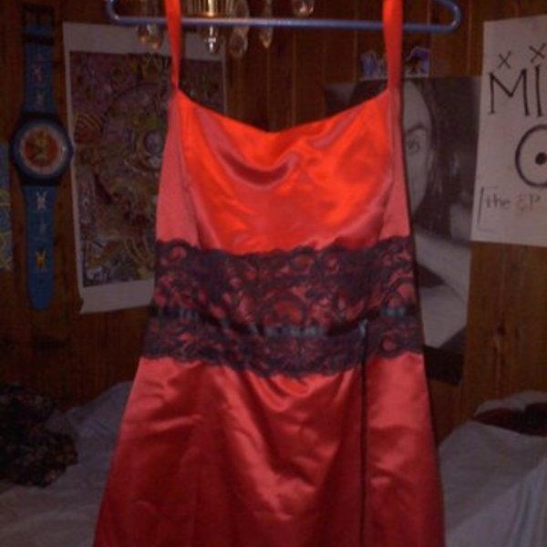 Apple Red dress  Plus Size is being swapped online for free