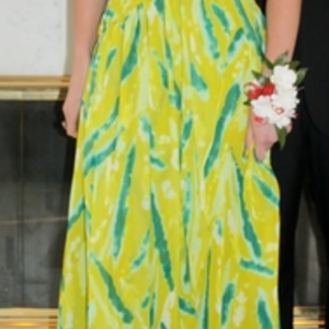 RAMPAGE Green Prom Gown Size 1. is being swapped online for free