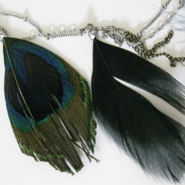 *free* aeo Feather Necklace is being swapped online for free