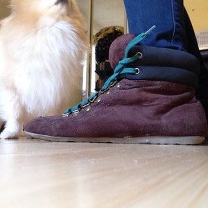 peter pan boots is being swapped online for free