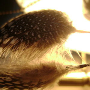 handmade feather earrings is being swapped online for free