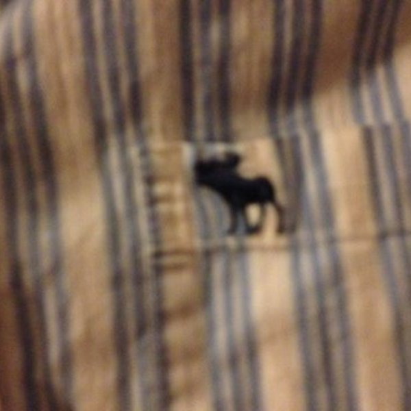 Abercrombie & Fitch Button Down is being swapped online for free