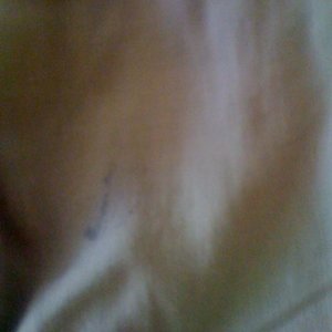 Abercrombie and Fitch Khaki Shorts is being swapped online for free