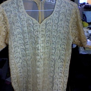 indian sheer dress with slip is being swapped online for free