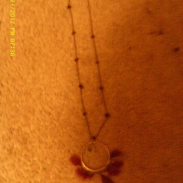 New in Package Feather Necklace is being swapped online for free