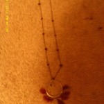 New in Package Feather Necklace is being swapped online for free