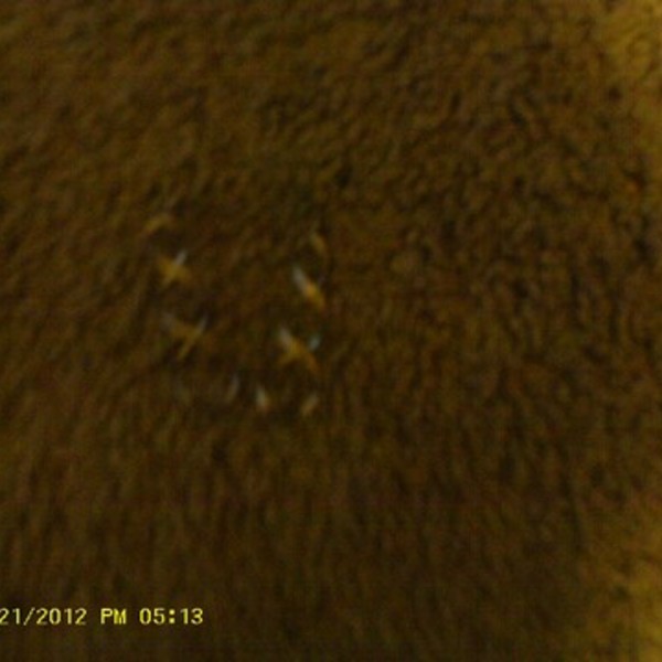 Silver-Colored Swirly Dangle Earrings is being swapped online for free