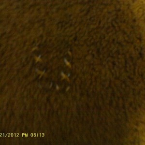 Silver-Colored Swirly Dangle Earrings is being swapped online for free