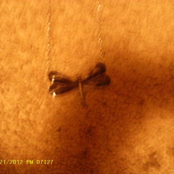 New Dragonfly Necklace is being swapped online for free