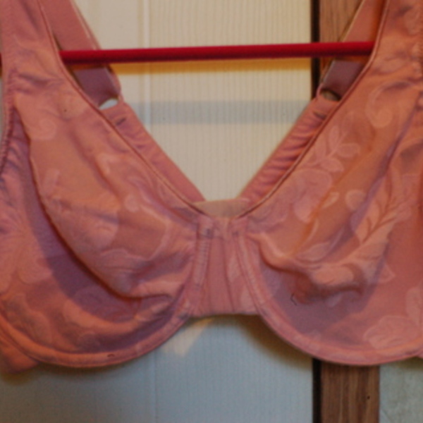 Under wire Pink Bra is being swapped online for free
