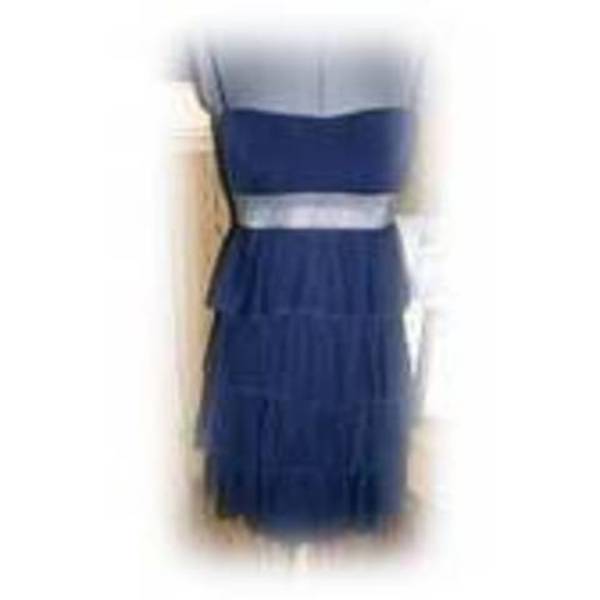 NEW Cute Navy Blue Layered Dress M is being swapped online for free