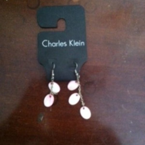 Charles Klein Shimmery Layer Earrings is being swapped online for free