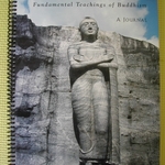 *Buddhism Journal is being swapped online for free