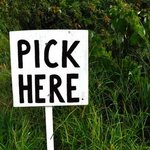 You choose something is being swapped online for free