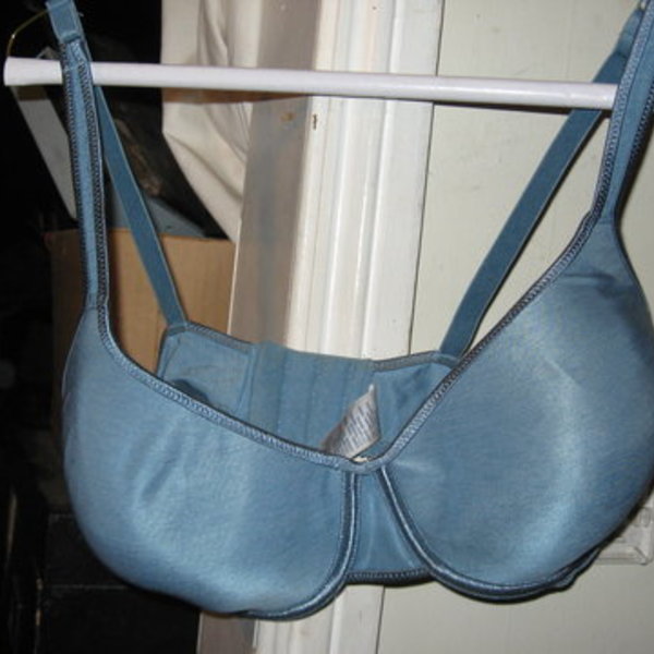 blue 38d bra is being swapped online for free