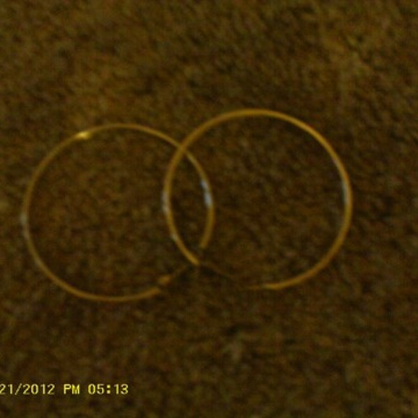 Large Silver-Colored Earrings is being swapped online for free