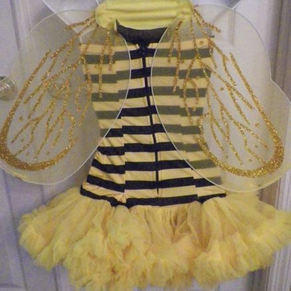 CUTE BUMBLEBEE COSTUME is being swapped online for free
