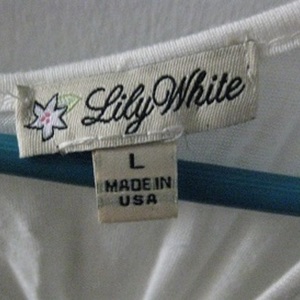 Bus Tank Top (L) is being swapped online for free