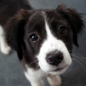 YOU PICK :) is being swapped online for free