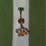 Belly piercing in animal paw golden color and nickel-free stainless steel is being swapped online for free