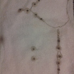 necklace bracelet& earing set is being swapped online for free