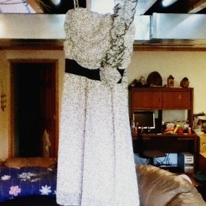 Cute cheetah chiffon dress is being swapped online for free