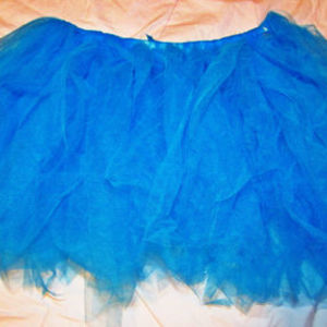 Blue Turquoise Tutu Ballet, Modeling, etc- One Size is being swapped online for free