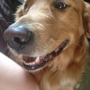 Surprise headband freebie with trade  is being swapped online for free