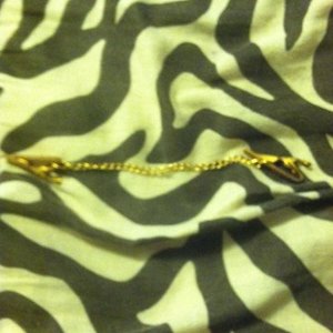 Vintage clasp is being swapped online for free