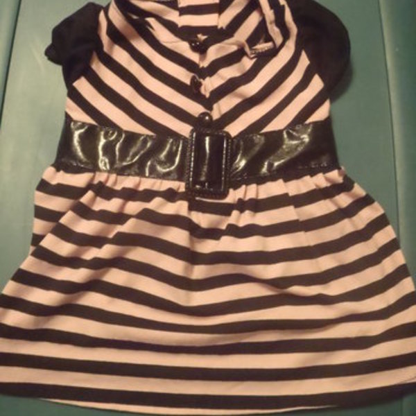 So CUTE (M) DOG DRESS  is being swapped online for free