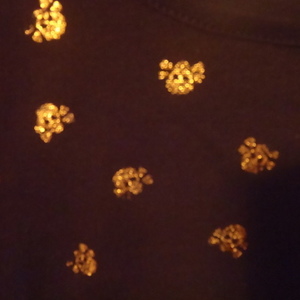 NEXT ERA COUTURE SHEER BACK SKULL SHIRT  is being swapped online for free